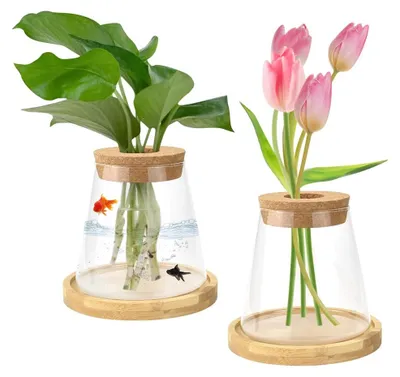Hydrokultur-Glasvase 2er-Set 9,5×9 cm transparent