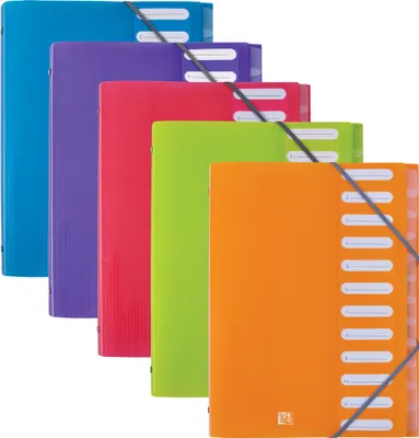 Image de Classeur à anneaux ELBA "ELBA School Life", 12 compartiments, DIN A4, PP