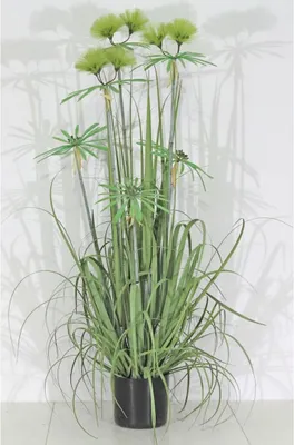 Produktbild von Velda Kunstpflanze Papyrus Größe M 851004