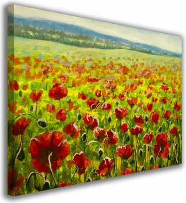 Zdjęcie produktu dla OBRAZ NA PŁÓTNIE 059 Maki 40x30cm