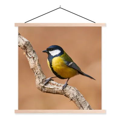 Produktbild von MuchoWow® Textilposter Vogel - Kohlmeise - Zweige 40x40 cm mit holzfarbenen Rahmen - Posterleiste