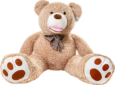 A large, plush teddy bear sitting on a white background.