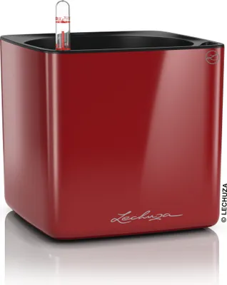 Produktbild von LECHUZA-Tischgefäß CUBE Premium 14 Scarlet Rot Highgloss | Pflanzgefäß mit Bewässerungssystem | Hochglanz-Oberfläche | 14 x 14 x 13,5 cm | 13512