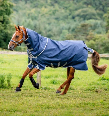 Produktbild von Horseware Amigo 1200D Original (Bravo 12) Turnout Plus 50g Weide Decke Navy/Titanium Grey & Silver, Horseware Deckengröße:145 cm / 6´6