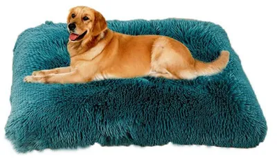 Image de Lit douillet pour chien, tapis en peluche longue, rembourrage moelleux, couleur verte, dimensions 109x72 cm