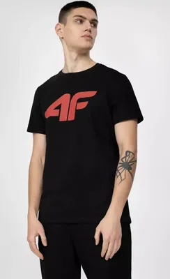 Produktbild von 4F Herren-T-Shirt mit Aufdruck Higuruhn schwarz L