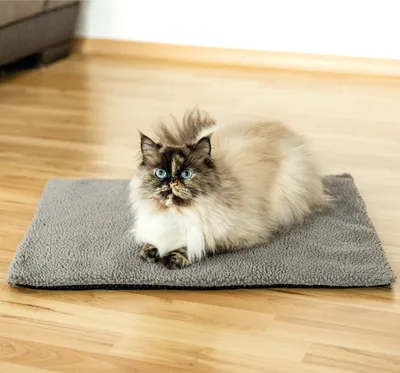 Produktbild von Tierdecke selbstheizend 50x60 cm Grau – Wärme Haustierdecke für Katzen & Hunde, isolierend, weich, waschbar, knisterfrei, mit Reißverschluss