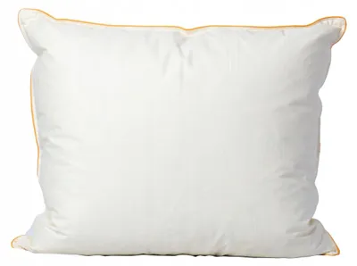 Produktbild von Textom Daunenkissen Ecru 40x40cm Natur Hohe Qualität