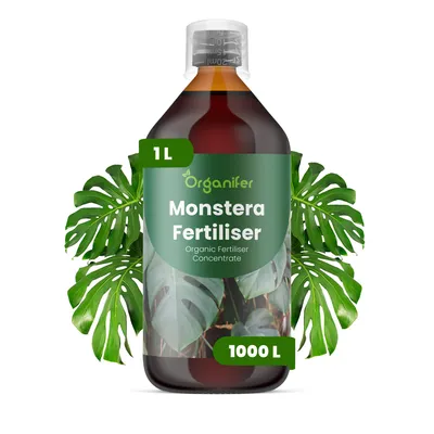 Produktbild von Monstera Flüssigdünger 1L – 3-4-3 NPK – Flüssig-Pflanzendünger für Monstera – Organifer
