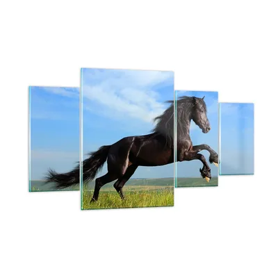 Produktbild von Bilder auf glas - Schwarzes Pferd Pferd Galopp - 160x90cm - Glasbilder - Wandbilder - Kunstdruck - zum Aufhängen bereit - Wanddekoration aus Glas - Glas Bilder - Wandbild auf Glas - GDL160x90-0495