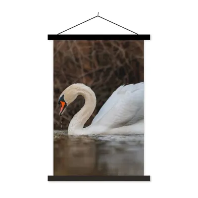 Produktbild von MuchoWow® Textilposter Schwan - Wasser - Tiere - Vogel 40x60 cm mit schwarzem Rahmen - Wanddekorationen