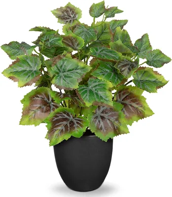 Immagine prodotto di Pianta artificiale, altezza 37 cm - Pianta in vaso nero - Non richiede manutenzione - Adatta per interni - Colore verde