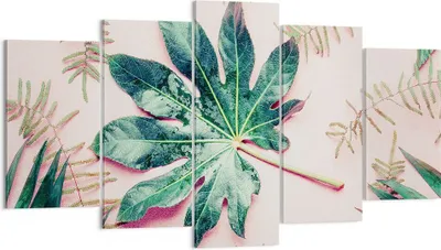 Produktbild von Bild auf Leinwand - Leinwandbild - 5 Teile - Blatt Tropisch Palme - 160x85cm - Wand Bild - Wanddeko - Wandbilder - Leinwanddruck - Bilder - Wanddekoration - Leinwand bilder - Wandbild - EA160x85-4314