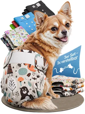 A chihuahua dog wearing a dog diaper, surrounded by other dog diapers in various colors and patterns.