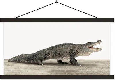 Produktbild von MuchoWow® Textilposter Kinder - Krokodil - Junge - Kinder - Mädchen 60x30 cm mit schwarzem Rahmen - Textilien