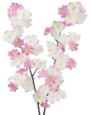 2 Kunstkirschblütenzweige, Seide, rosa, 102 cm