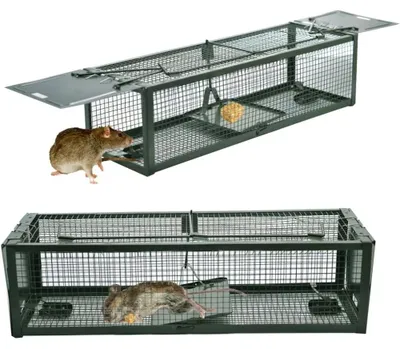 Image de Piège à souris vivant - Cage piège avec 2 portes - Réutilisable - Sans poison - Pour intérieur et extérieur