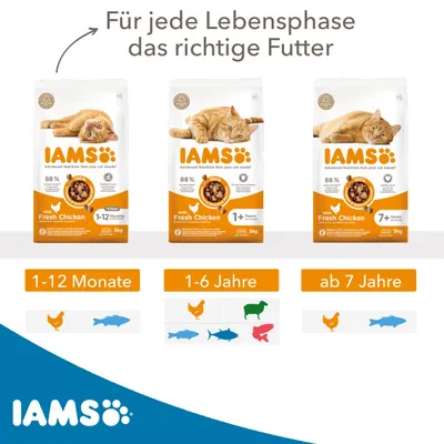 Imagen del producto de Alimento para gatos IAMS Advanced Nutrition, sabor a pescado, para gatos adultos, 10 kg