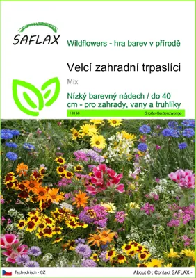 Obrázek produktu pro SAFLAX - Velcí zahradní trpaslíci - Mix - 1000 Semena