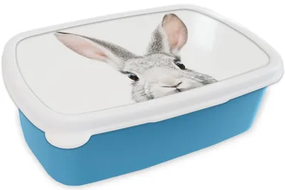 Produktbild von KitchenYeah® Lunchbox Brotzeit Brotdose 17x11 cm Kaninchen - Tiere - Natur - Weiß Kinder Brotzeitdose - Lunch - Kunststoff  - Brotbüchse - Sandwichbox - Lunchbox für Kinder