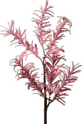 Produktbild von Kunstblume -Steineibe- Stiel 35cm rosa