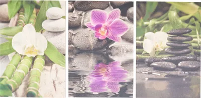 Produktbild von 3er Set Wandbild je 20x30cm Birkenholz Orchideen Bambus Holzbild Wanddekoration