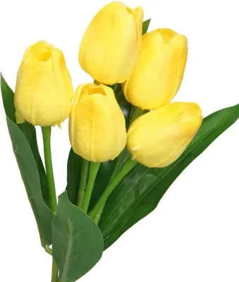 Obrázok produktu pre Tulipány Tulipánová Kytica Pogumovaný Silikón Realistický