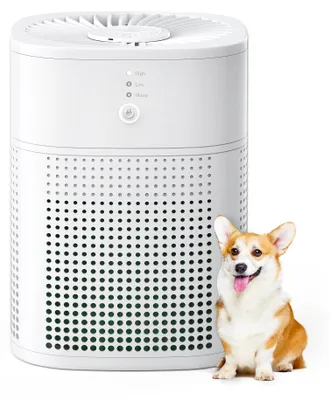 Immagine prodotto di Purificatore d'aria con filtro HEPA - Bianco - 12 Watt - Compatto