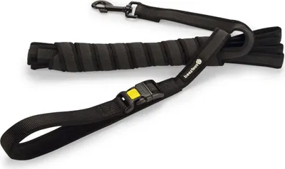 Produktbild von Beeztees Parinca Premium - Hundeleine - Griff - Nylon - schwarz - 5m