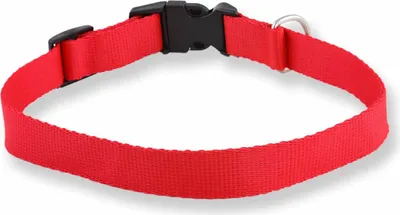 Produktbild von Monkimau Hundehalsband Große Hunde aus Nylon