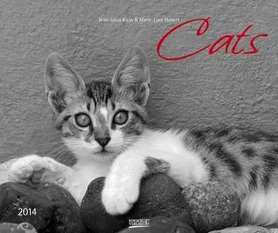 Immagine prodotto di Calendario "PhotoArt Classic" 2014, tema: gatti