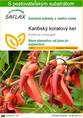 Obrázok produktu pre SAFLAX - Karibský koralový ker - Erythrina crista-galli - 6 Semená - S pestovateľským substrátom bez klíčkov