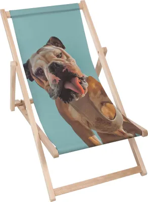 Immagine prodotto di Sdraio Dreamroots pieghevole in legno, legno di faggio fino a 130 kg, sdraio pieghevole con regolazione dell'inclinazione dello schienale a 3 livelli, Buldog Selfie