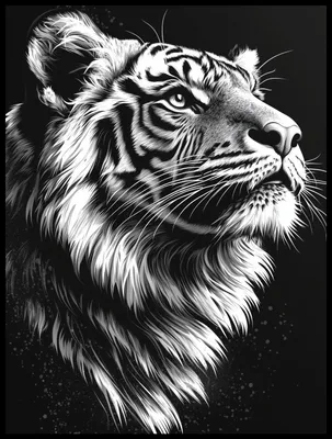 Image de Affiche 60 x 80 cm Portraits d'animaux pour le salon | Tigre 3 | Noir et blanc
