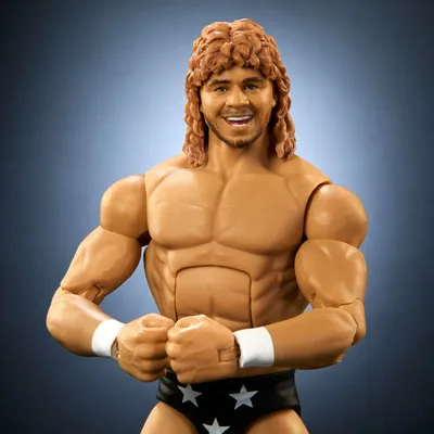 Obrázek produktu pro WWE JCJ10, 8 rok/roky, WWE, Vícebarevný, Plast
