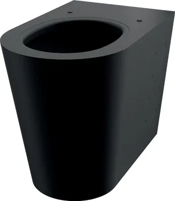 Immagine prodotto di Delabie WC S21 P bodenst. Anschl. von hinten Edelstahl matt schwarz