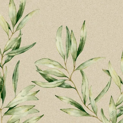 Produktbild von Duni Klassik Serviette Foliage 50 Stück 1er Pack