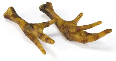 Zdjęcie produktu dla ARQUIVET Suszone łapki kurczaka, 250 g, naturalne przysmaki dla psów