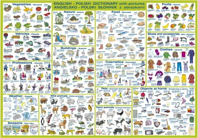 Image de Dictionnaire anglais-polonais recto-verso