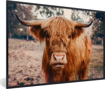 Produktbild von MuchoWow® Gerahmtes Poster Kuh - Schottischer Hochländer - Hörner - Braun - Landschaft 30x20 cm - Poster mit Schwarzem Bilderrahmen Wandposter Rahmen Foto Bilder - Kunstdruck - Bild-Poster