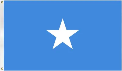 Immagine prodotto di Go Go Gadget - Bandiera della Somalia - 90 x 150 cm