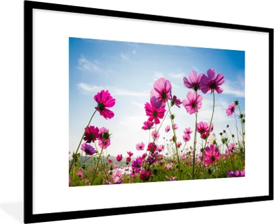 Produktbild von MuchoWow® Gerahmtes Poster Blumen - Rosa - Cosmea 90x60 cm - Poster mit Schwarzem Bilderrahmen Wandposter Rahmen Foto Bilder - Wanddekoration - Fotos