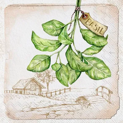Produktbild von BASIL cream Lunch-Servietten L 945860