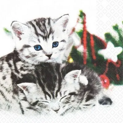 Produktbild von RP 20 kleine Cocktailservietten Christmas Cats - Süßes Katzenpaar 25x25cm