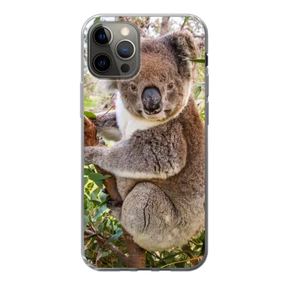 Produktbild von MuchoWow® Handyhülle Schutzhülle Hülle für iPhone 12 Pro Koala - Blätter - Kinder - Jungen - Mädchen Silikon Softcase Handy Hülle - Abdeckung