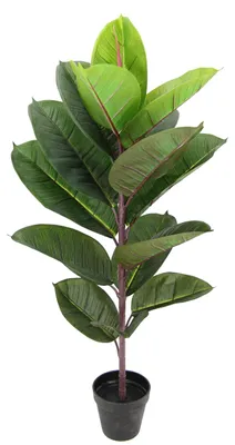 Productafbeelding van Kunstplant, Ficusboom in pot, 84 x 40 cm