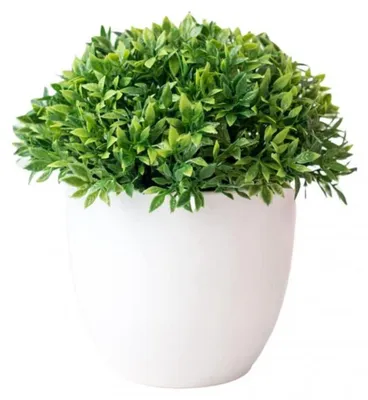 Immagine prodotto di Pianta artificiale verde per l'arredamento della casa