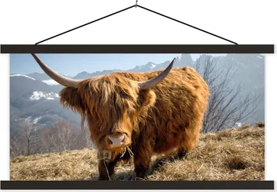 Produktbild von MuchoWow® Textilposter Schottisches Hochlandrind - Berg - Schnee 90x45 cm mit schwarzem Rahmen - Klemmleisten