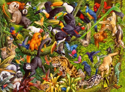 Obrázok produktu pre Ravensburger 13351 puzzle Skladačka 200 ks Zvieratá