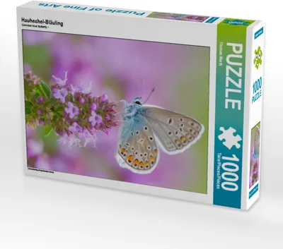 Produktbild von CALVENDO Puzzle Hauhechel-Bläuling | 1000 Teile Lege-Größe 64x48cm Foto-Puzzle für glückliche Stunden